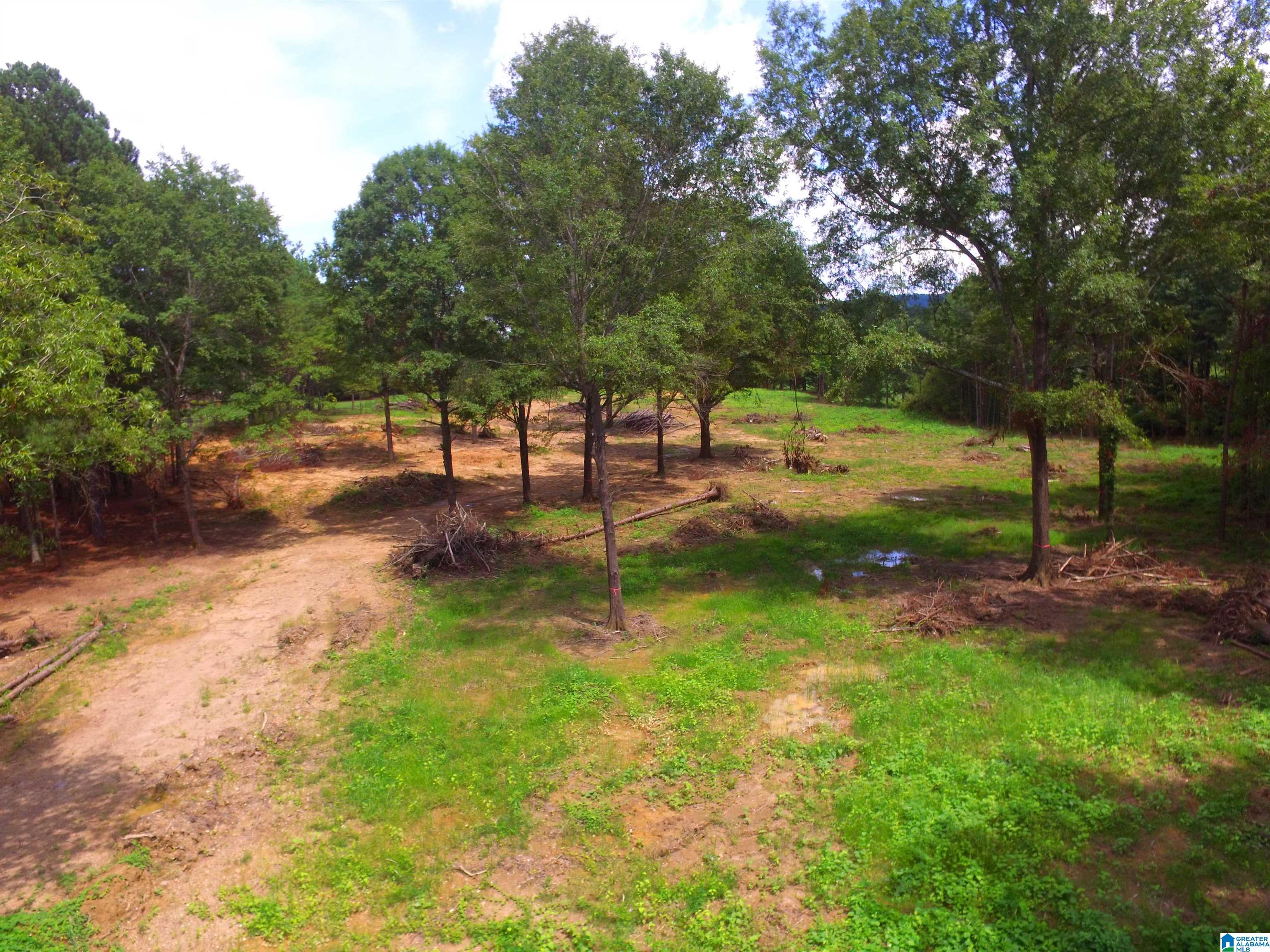 0 Lane Road, Unit 1 Oxford, AL 36203 - Photo 9 of 11