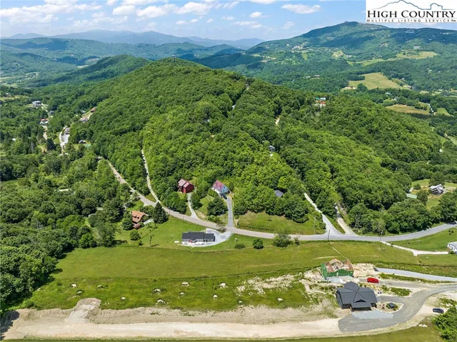 a view of a garden with a fountain and a tree