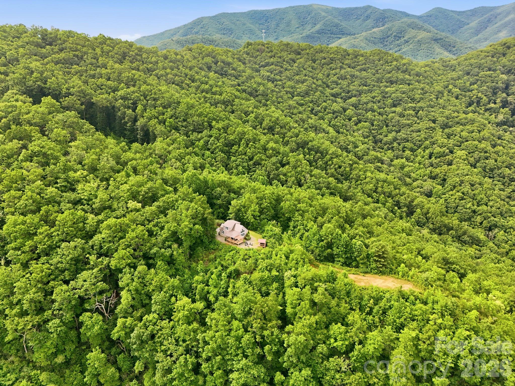 946-140 Honeysuckle Ridge Almond, NC 28702 - Photo 32 of 48