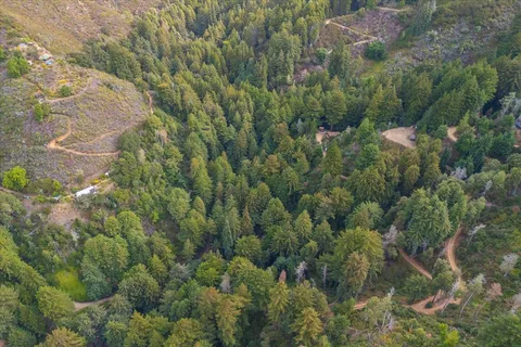 a view of a lush green hillside and a mountain