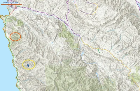 a close up of a plant with a plant