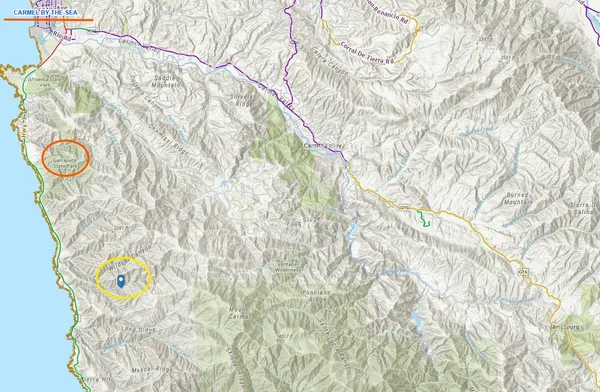 a close up of a plant with a plant