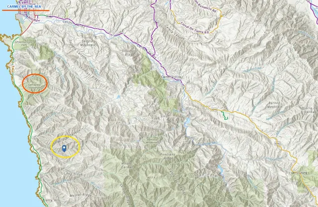 a close up of a plant with a plant