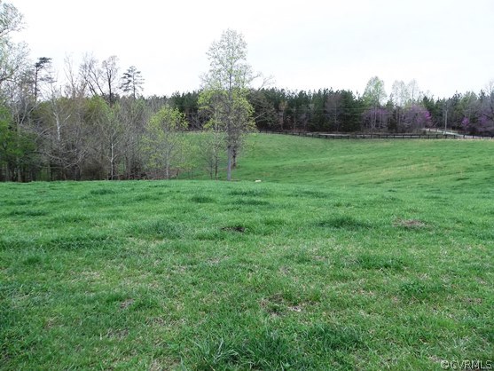 1928 Chinquapin Road Prospect, VA 23960 - Photo 18 of 24 a view of field with trees in the background