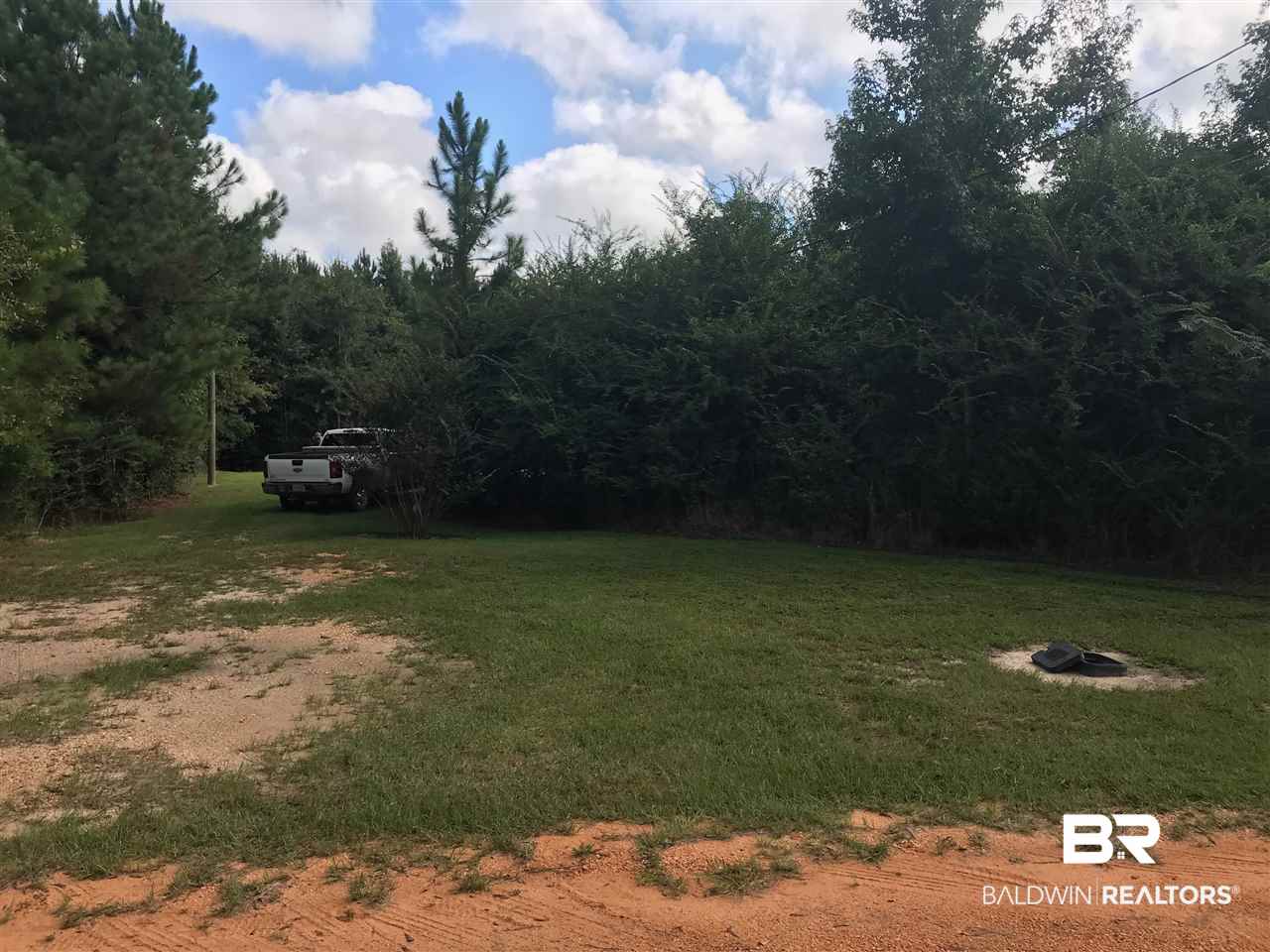 1000 Poole Road Castleberry, AL 36432 - Photo 2 of 17