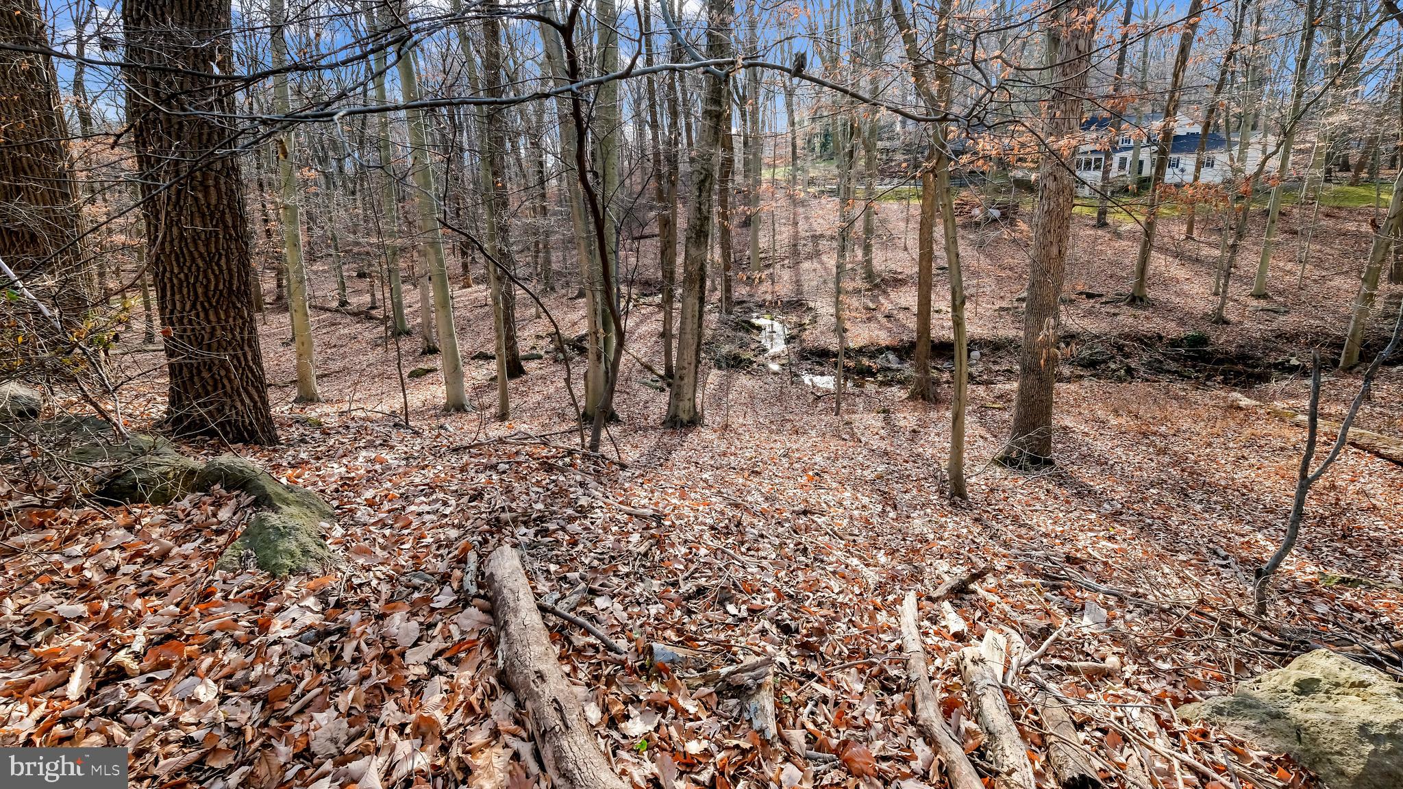 5107 Paist Road Doylestown, PA 18902 - Photo 52 of 83 4.16 acre lot. Lovely wooded views out all windows