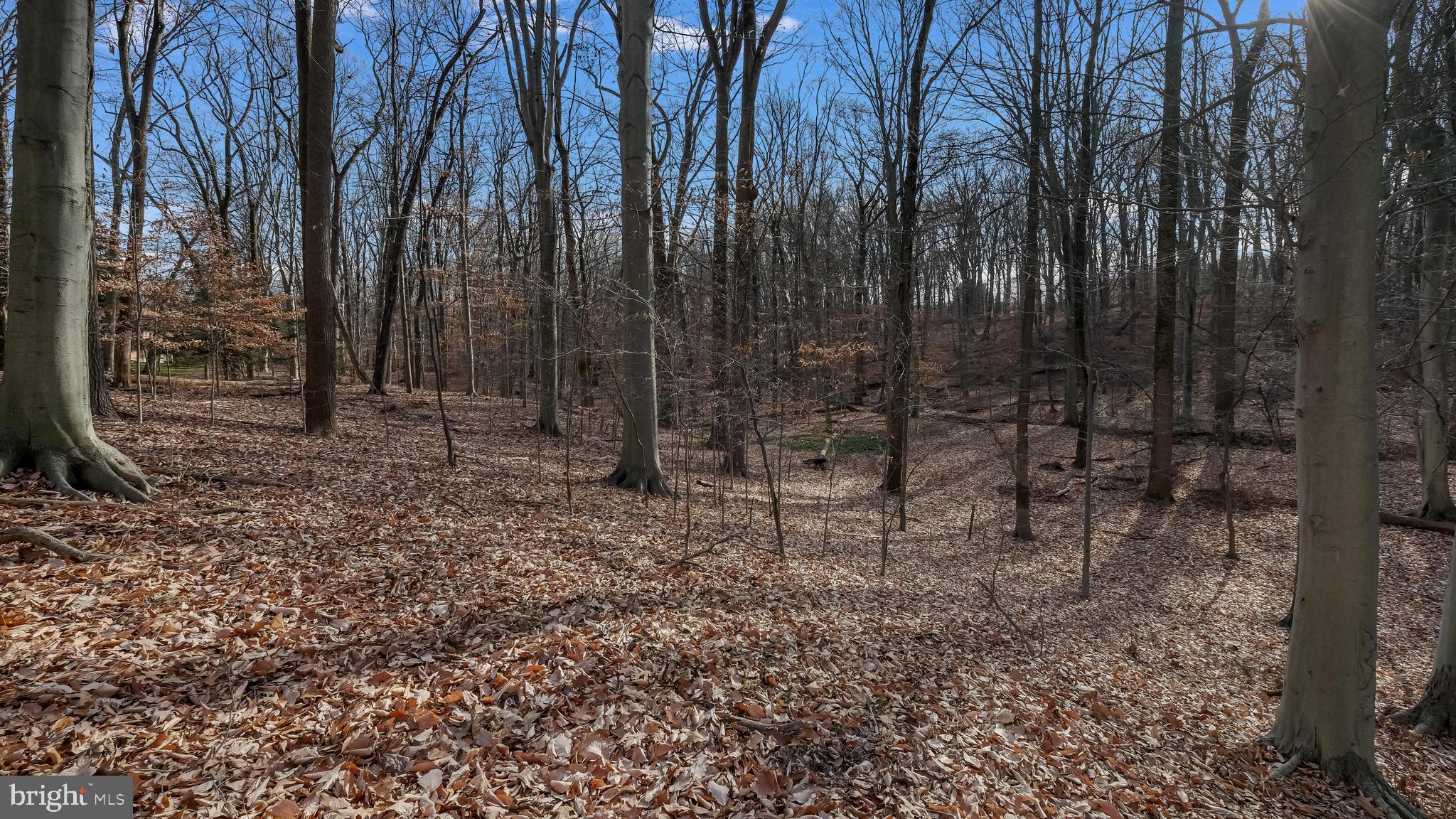5107 Paist Road Doylestown, PA 18902 - Photo 83 of 83 Views of the 4.16 acre lot