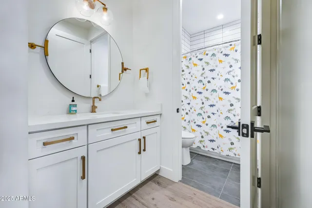 a bathroom with a sink a mirror a vanity and a shower