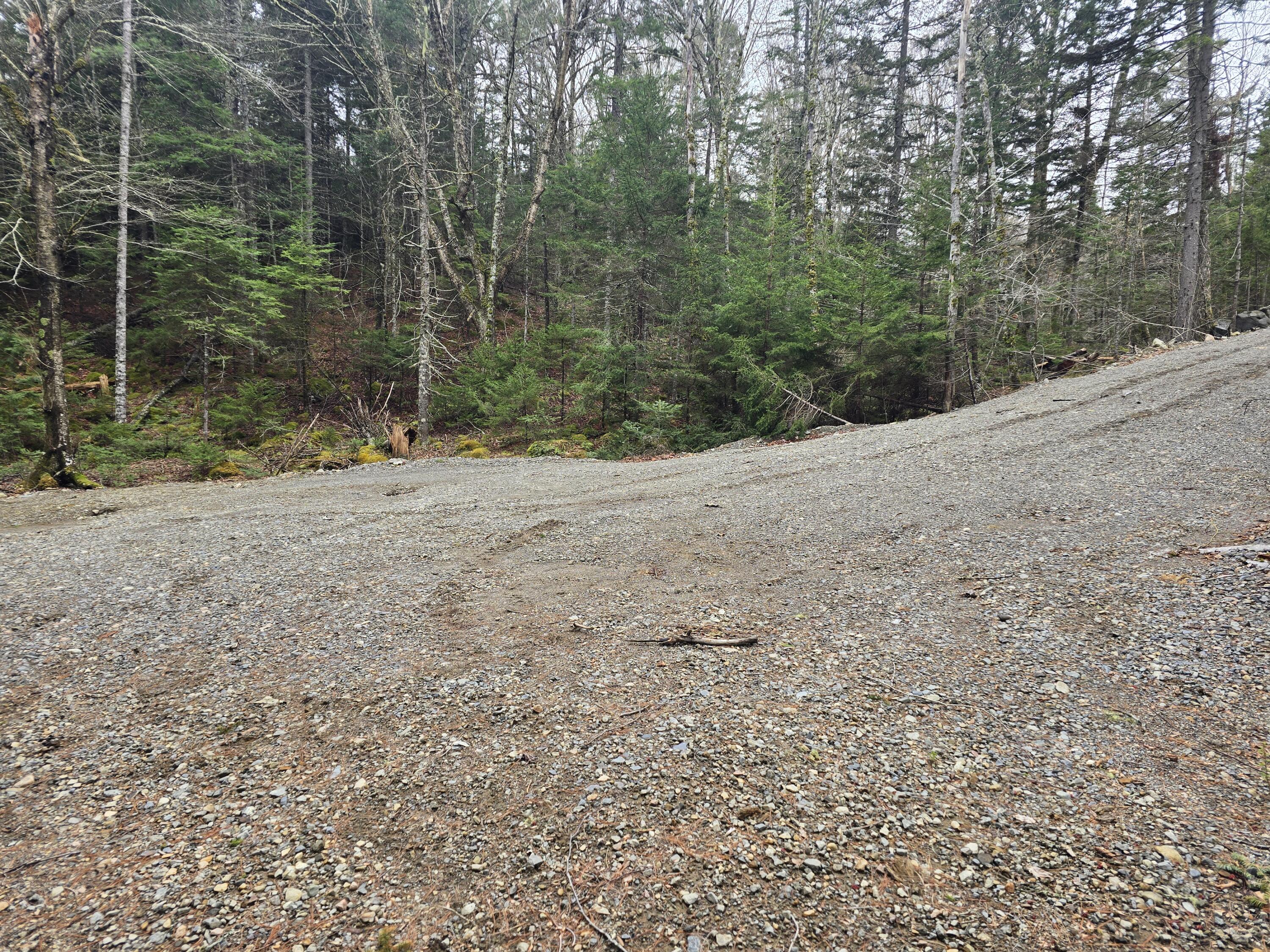 Lot M Howard Lk Road Robbinston, ME 04671 - Photo 6 of 8 20250507_132838