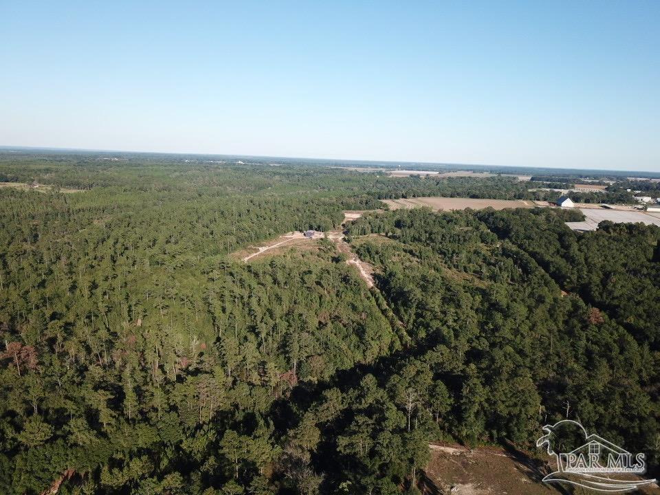 85-acres Wiley Scott Road Jay, FL 32565 - Photo 3 of 9