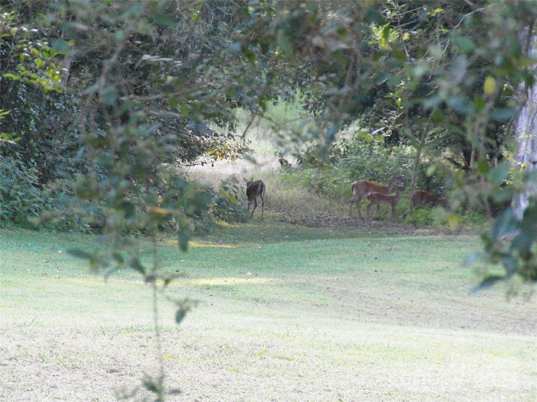 4495 Isenhour Road Kannapolis, NC 28081 - Photo 37 of 41 Gallery Image 37
