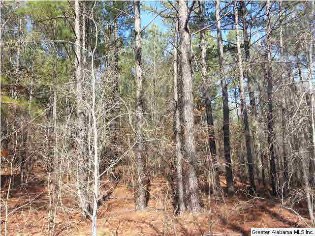 267 County Road, Unit 53 Lanett, AL 36863 - Photo 7 of 9