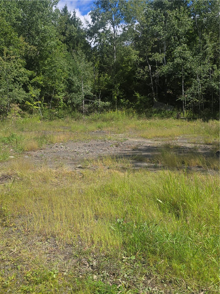 213 Geiss Road Greene, NY 13787 - Photo 15 of 24 Gallery Image 15