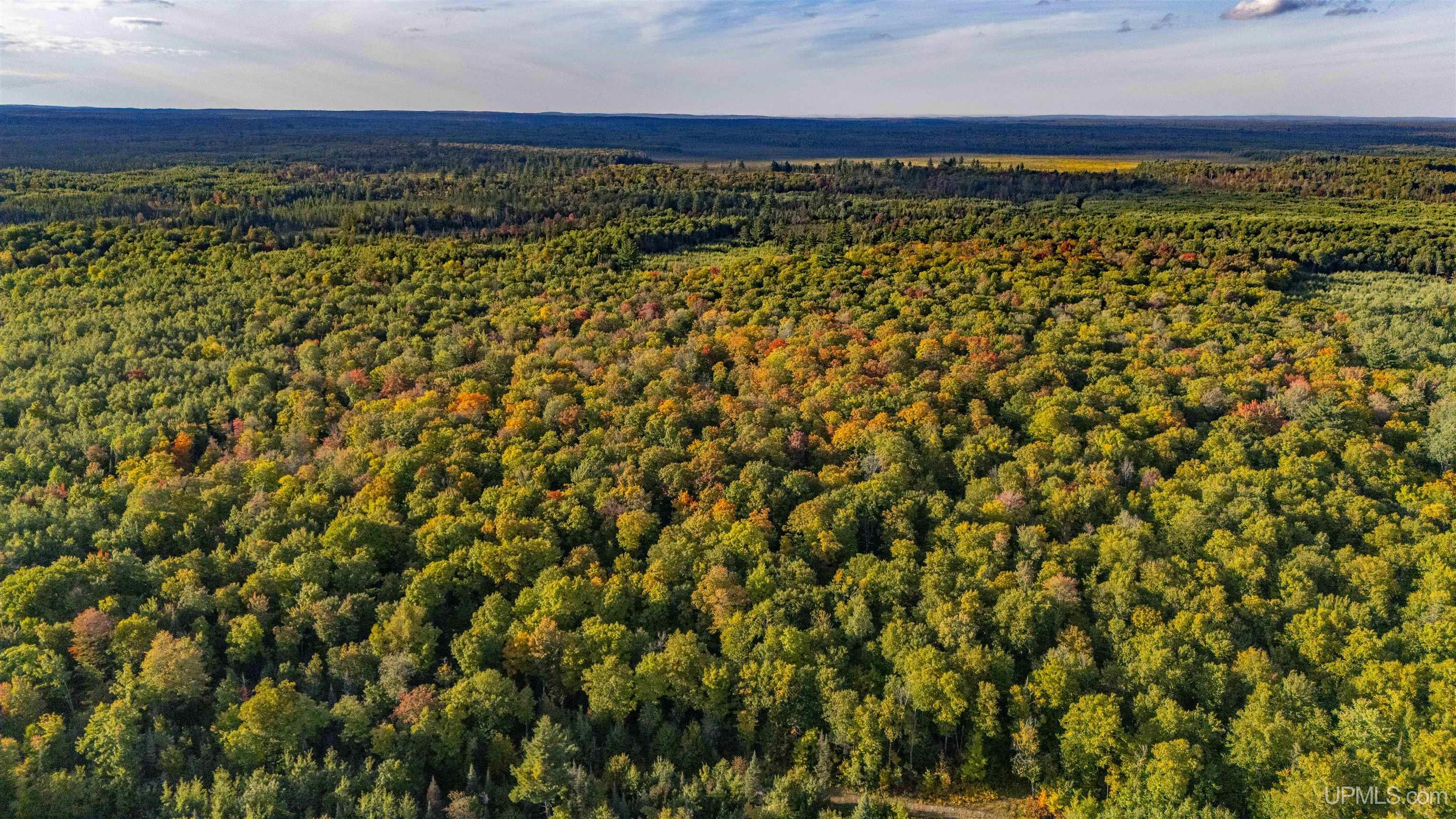 Tbd Luke Road Amasa, MI 49903 - Photo 35 of 64