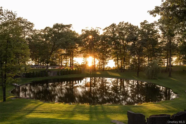 a view of small yard in front of a house with a large tree
