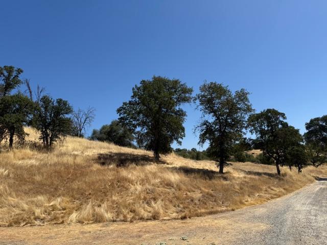 11999 Millerton Road Clovis, CA 93619 - Photo 11 of 19 a view of a yard with a tree