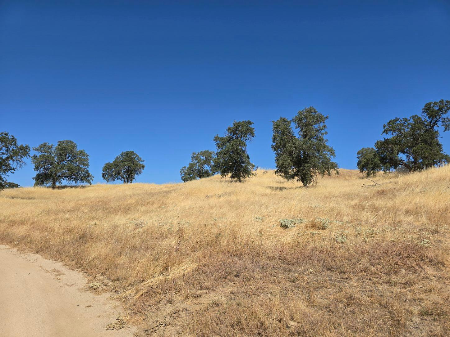 11999 Millerton Road Clovis, CA 93619 - Photo 13 of 19 a view of a covered with snow in the background