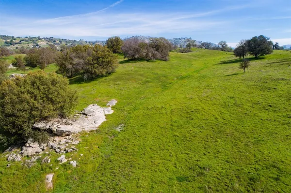 a view of a lake in middle of forest
