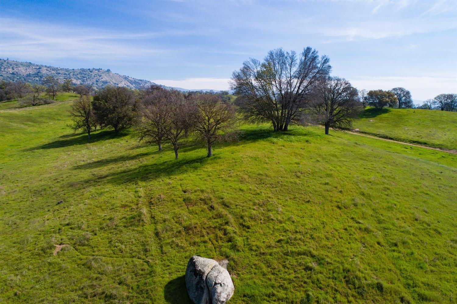 11999 Millerton Road Clovis, CA 93619 - Photo 4 of 19 a view of outdoor space and yard