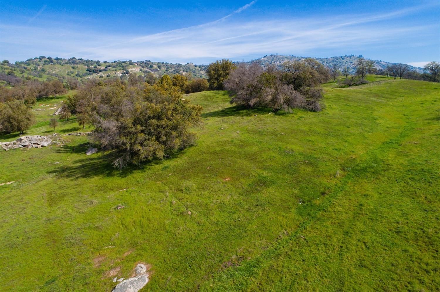 11999 Millerton Road Clovis, CA 93619 - Photo 5 of 19 a view of an ocean from a yard
