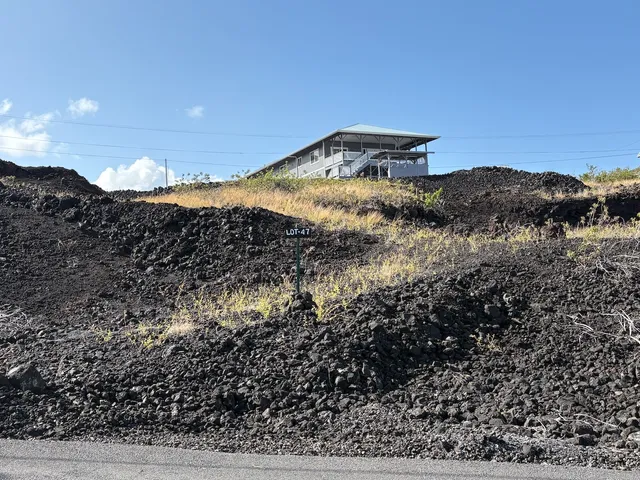 a view of a dry yard