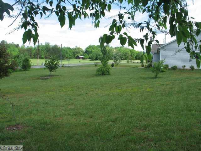 2018 Mountain View Church Road King, NC 27021 - Photo 8 of 11 Yard/Garden.