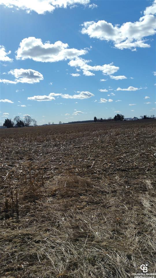 Vacant Land North State/allan Road Owosso, MI 48867 - Photo 5 of 7