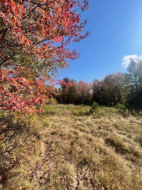 One St Waite Me 04492 Waite, ME 04492 - Photo 12 of 13 IMG_9049