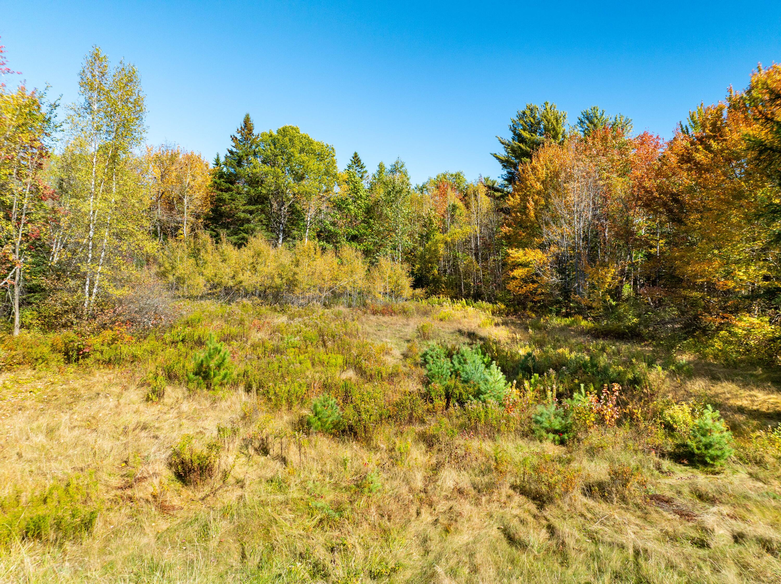 One St Waite Me 04492 Waite, ME 04492 - Photo 6 of 13 22 Acres of Land in Waite, Maine (14 of