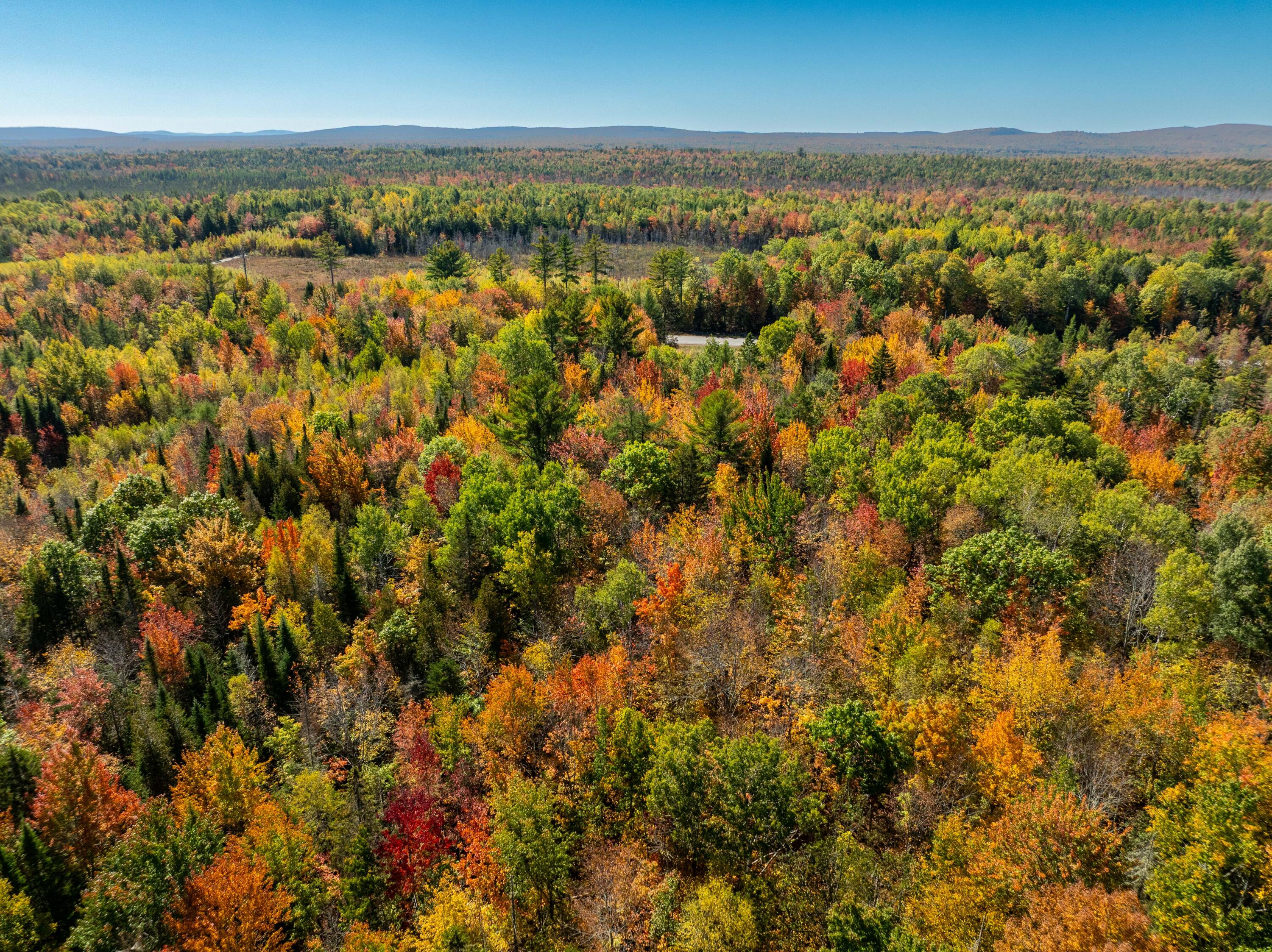 One St Waite Me 04492 Waite, ME 04492 - Photo 7 of 13 22 Acres of Land in Waite, Maine (15 of