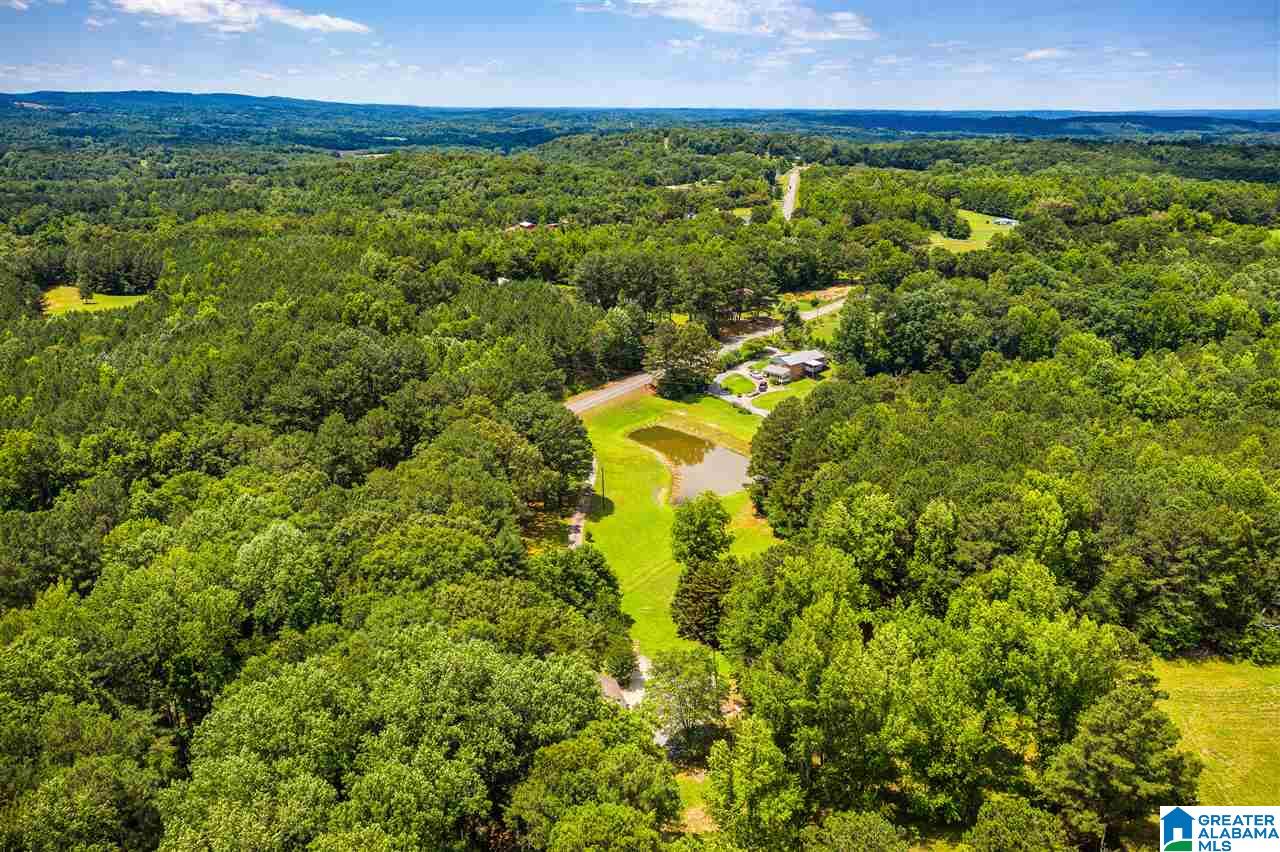225 County Road 33 Oneonta, AL 35121 - Photo 39 of 41