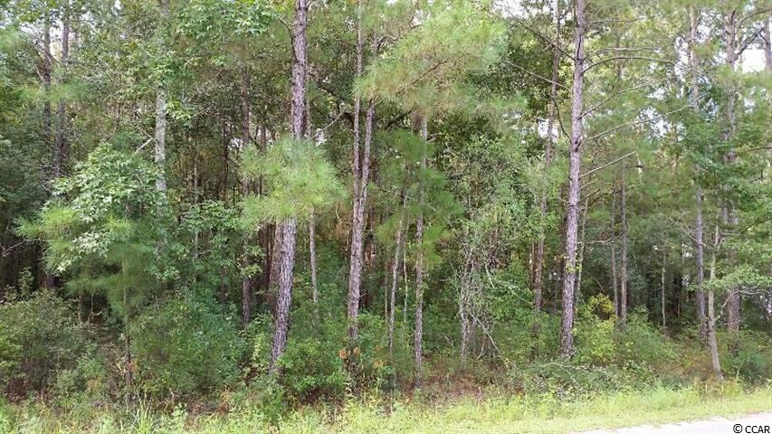 2-acres Riverside Drive Conway, SC 29526 - Photo 1 of 9 Gallery Image 1