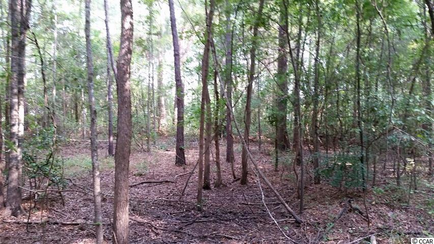 2-acres Riverside Drive Conway, SC 29526 - Photo 5 of 9 Gallery Image 5