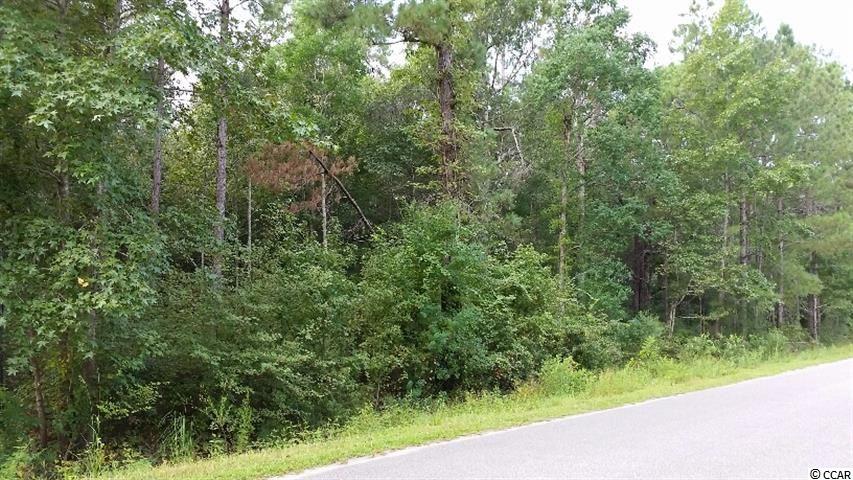 2-acres Riverside Drive Conway, SC 29526 - Photo 8 of 9 Gallery Image 8