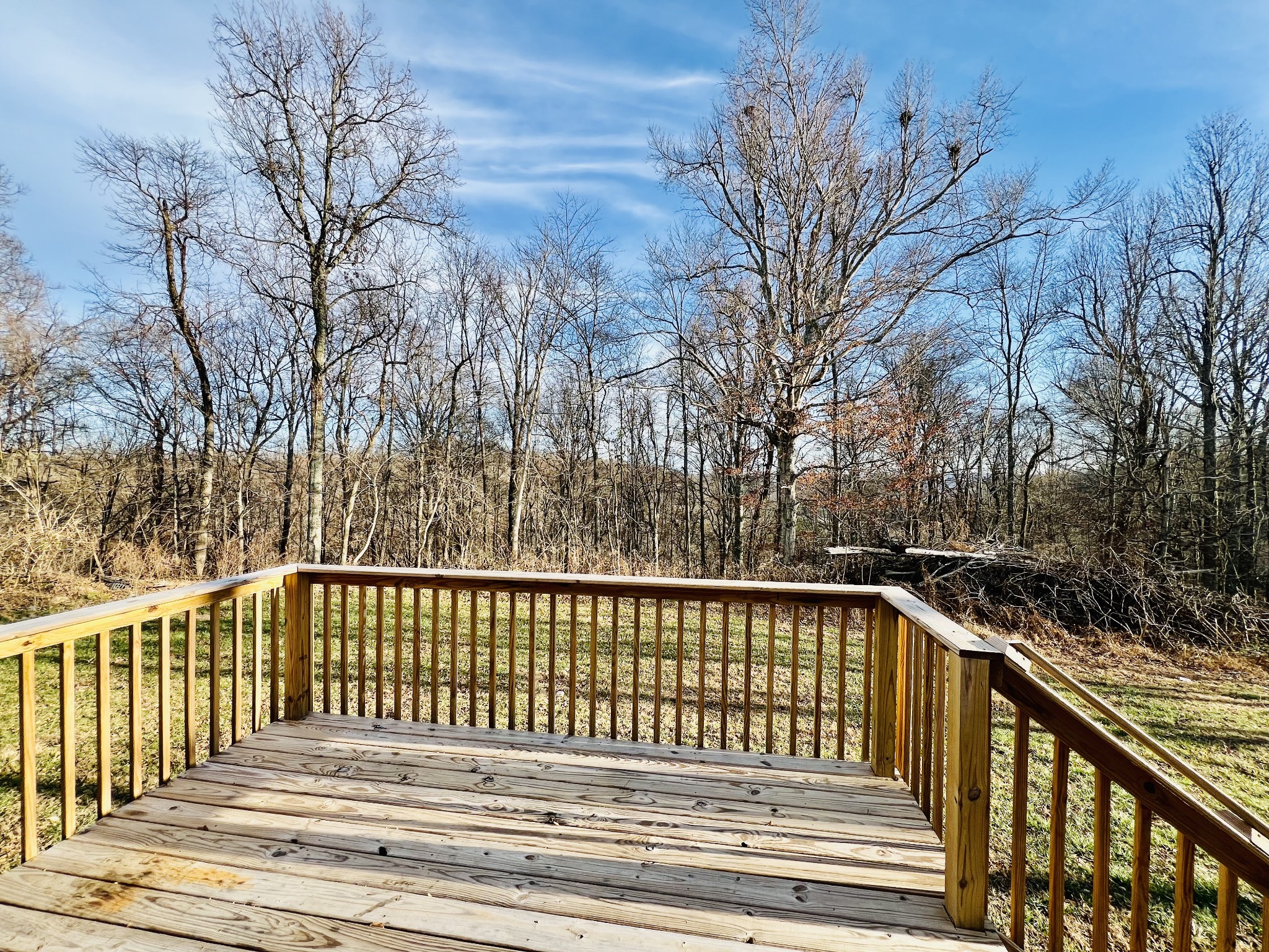 299 B Union Hollow Road Fayetteville, TN 37334 - Photo 4 of 27 a view of a roof deck