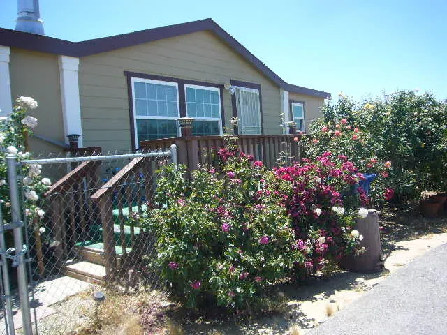 a house view with a garden space