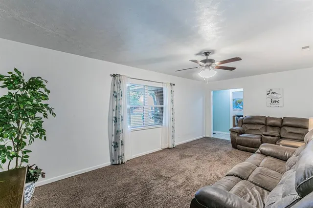 a living room with furniture and potted plant