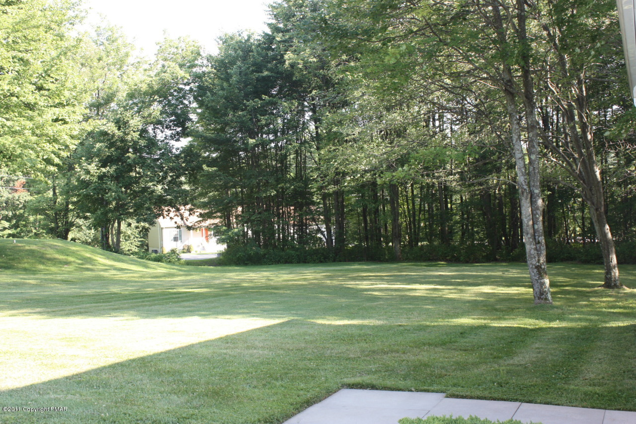 65 Stanet Road Moscow, PA 18444 - Photo 16 of 16 Backyard