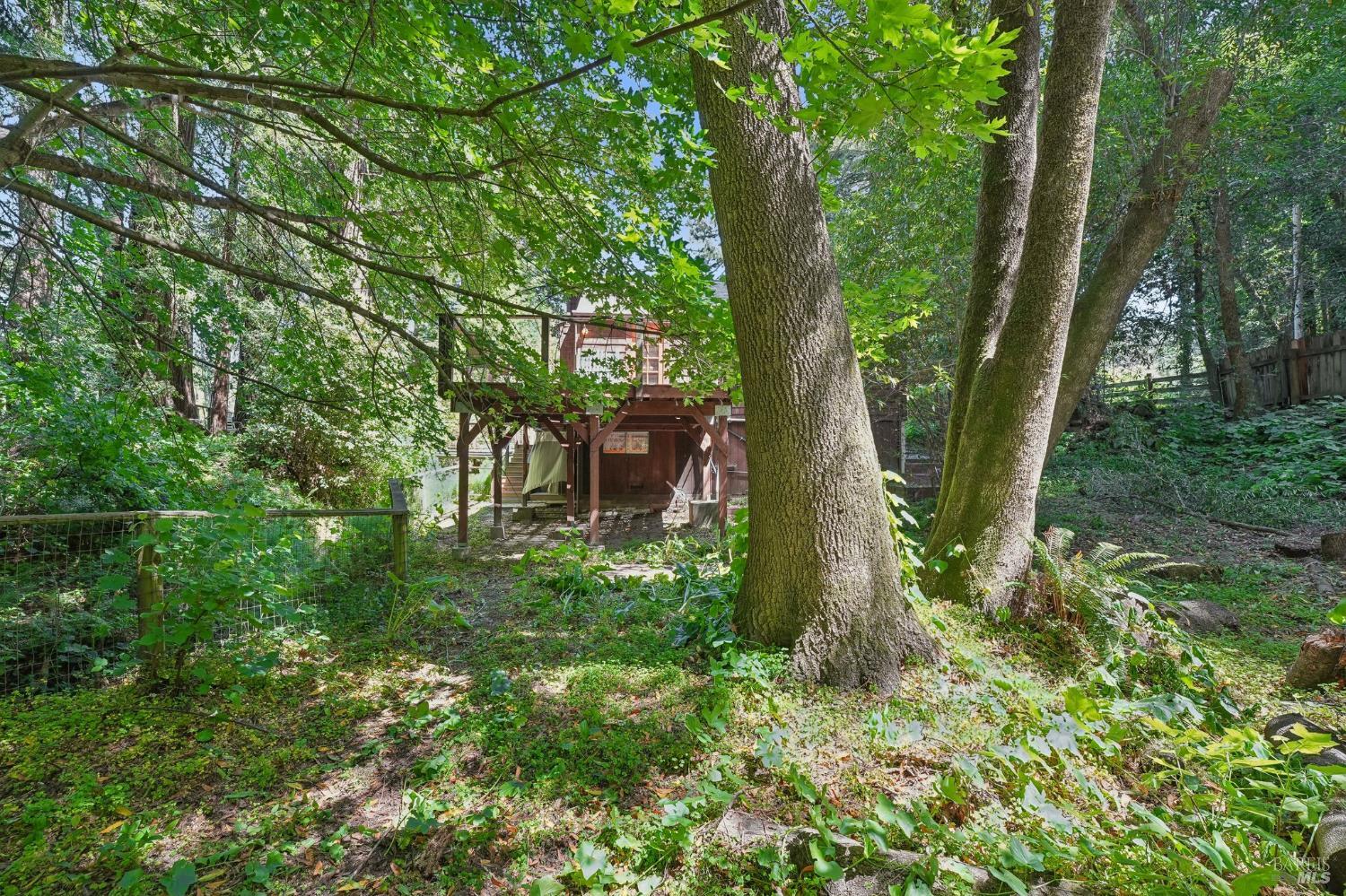 189 Wagnon Road Sebastopol, CA 95472 - Photo 49 of 66