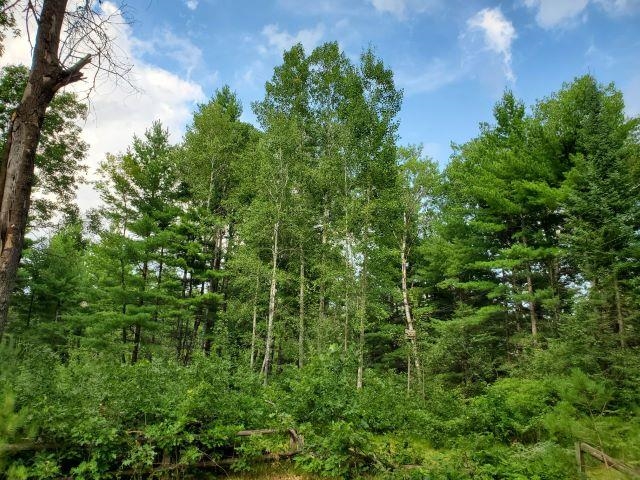 1812 Sanderson Road Alger, MI 48610 - Photo 15 of 28 1925147-610fcb80-b35c-4b6b-a812-3efd634b0455.JPG