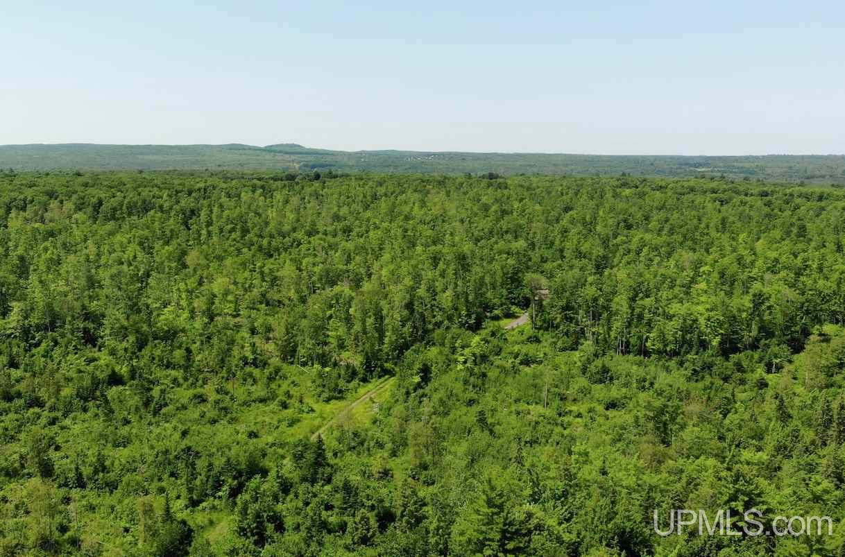 Tbd Upper Massie Road Chassell, MI 49916 - Photo 7 of 12 Gallery Image 7