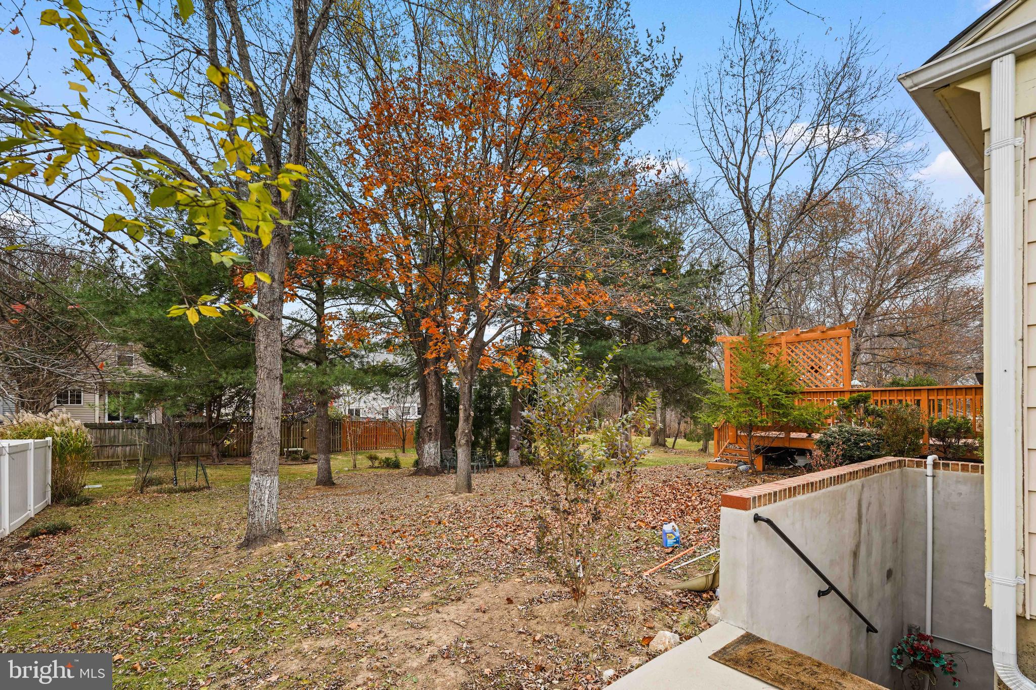 13940 Alderton Road Silver Spring, MD 20906 - Photo 36 of 41 a view of road with large trees