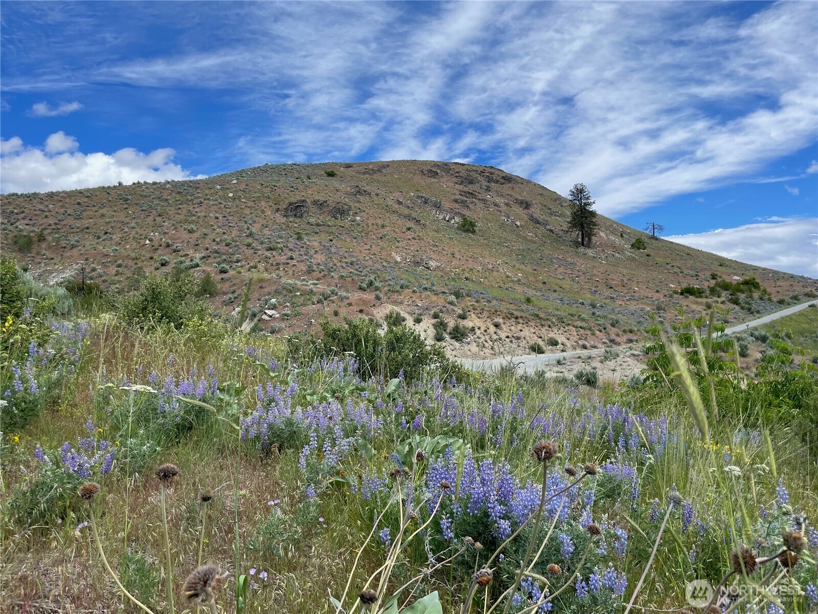 436 Antoine Creek Road, Unit LOT I Chelan, WA 98816 - Photo 3 of 16