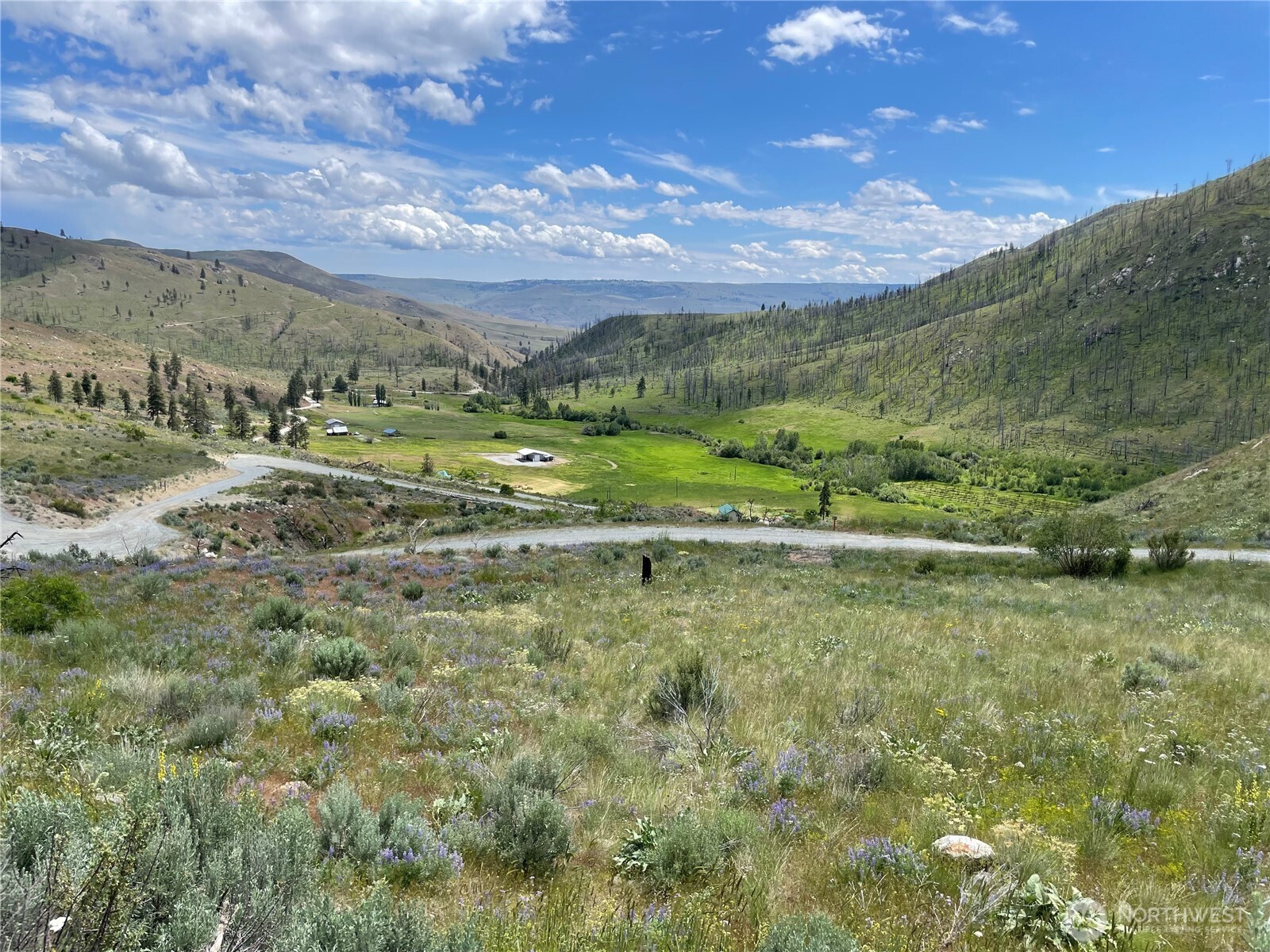 436 Antoine Creek Road, Unit LOT I Chelan, WA 98816 - Photo 5 of 16