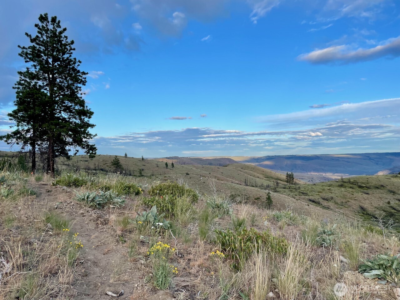436 Antoine Creek Road, Unit LOT I Chelan, WA 98816 - Photo 7 of 16