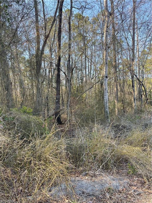 0 Quiet Oak Road Carthage, NC 28327 - Photo 2 of 2