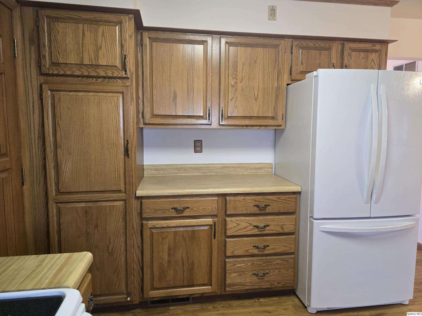 239 Rogers Road Carthage, IL 62321 - Photo 2 of 23 a kitchen with a refrigerator and cabinets