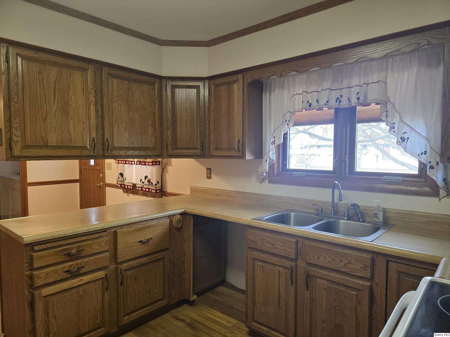 239 Rogers Road Carthage, IL 62321 - Photo 3 of 23 a kitchen with a sink a window and cabinets