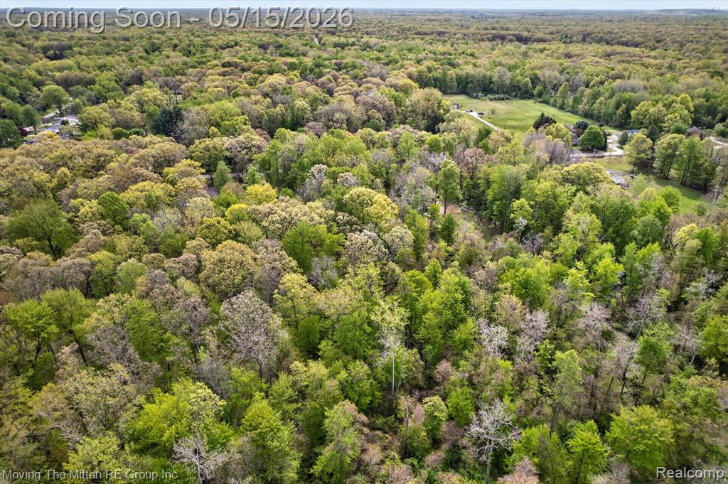 22530 Bohn Road Belleville, MI 48111 - Photo 10 of 28