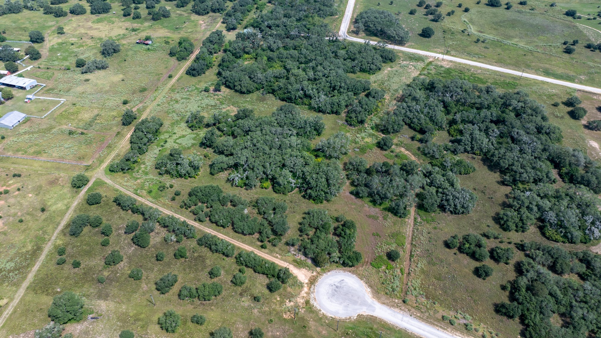 Tbd Shorebird Lane Columbus, TX 78934 - Photo 15 of 21 a view of a yard with a plant